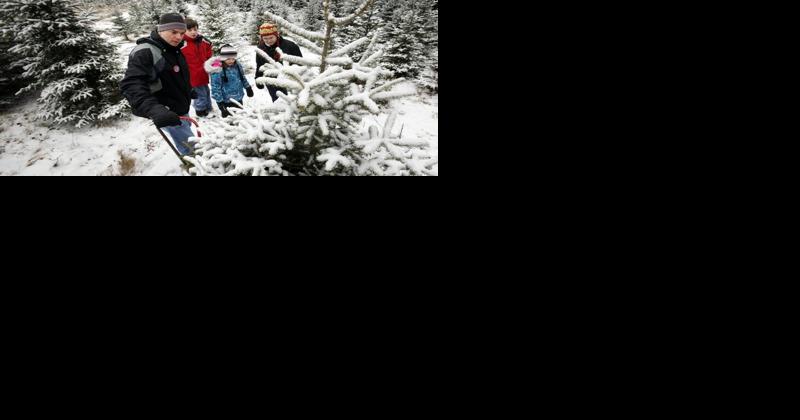 2 big reasons to get a COVID-19 booster before Christmas - Vimarsana News