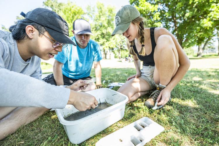 Testing the waters: Conservation students learn by doing