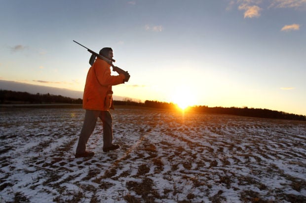 Outdoors: State hunters killed 7 percent fewer deer, according to ...