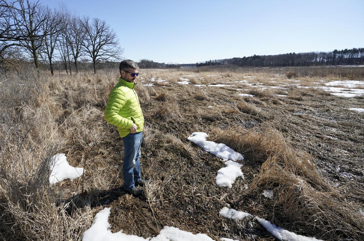Arboretum stormwater
