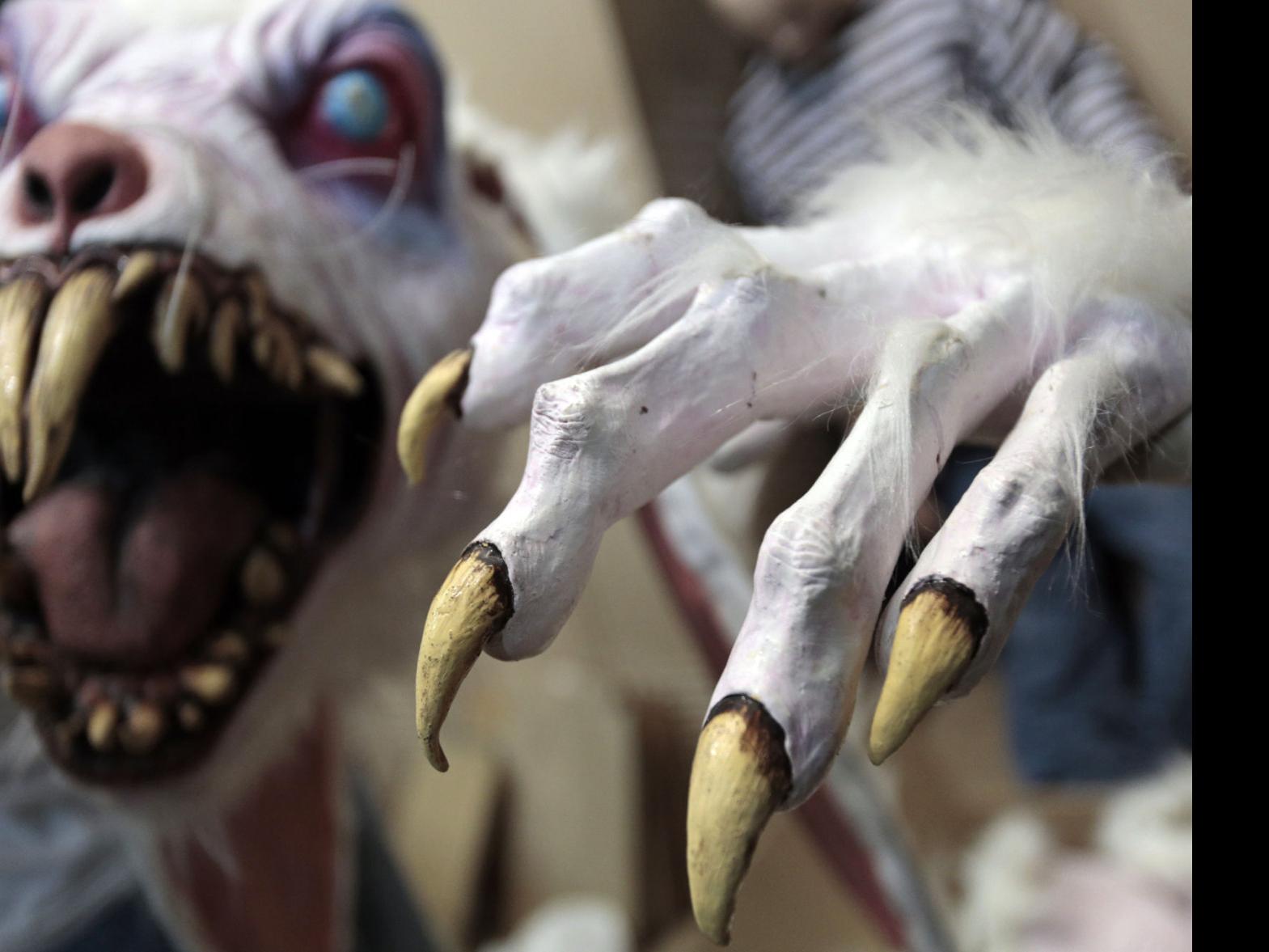 Feel Good About Getting Scared With These Haunted Attractions Arts And Theater Madison Com Come visit this 18,000 square foot indoor haunt! haunted attractions