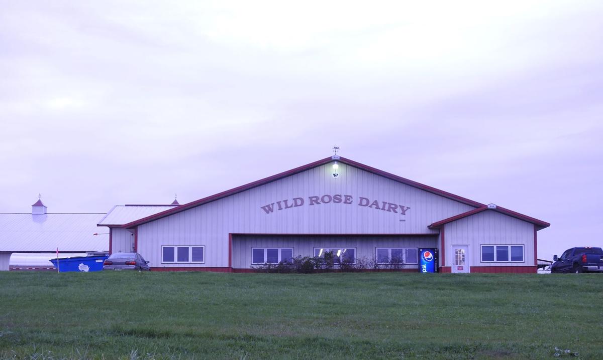 Wild Rose Dairy