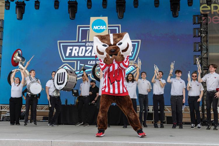The Badgers are back