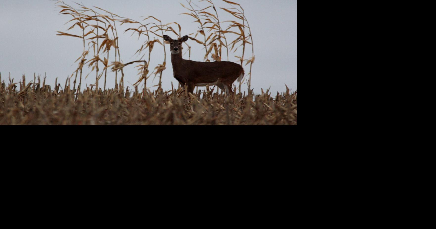 Wisconsin deer hunter rescued from frigid river when kayak capsizes ...