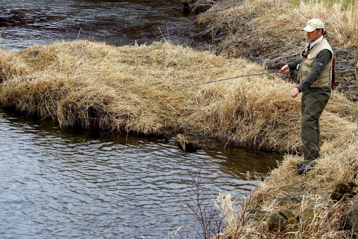 Jerry Davis Will Trout Fishing In Black Earth Creek Continue To Rebound Outdoors Madison Com