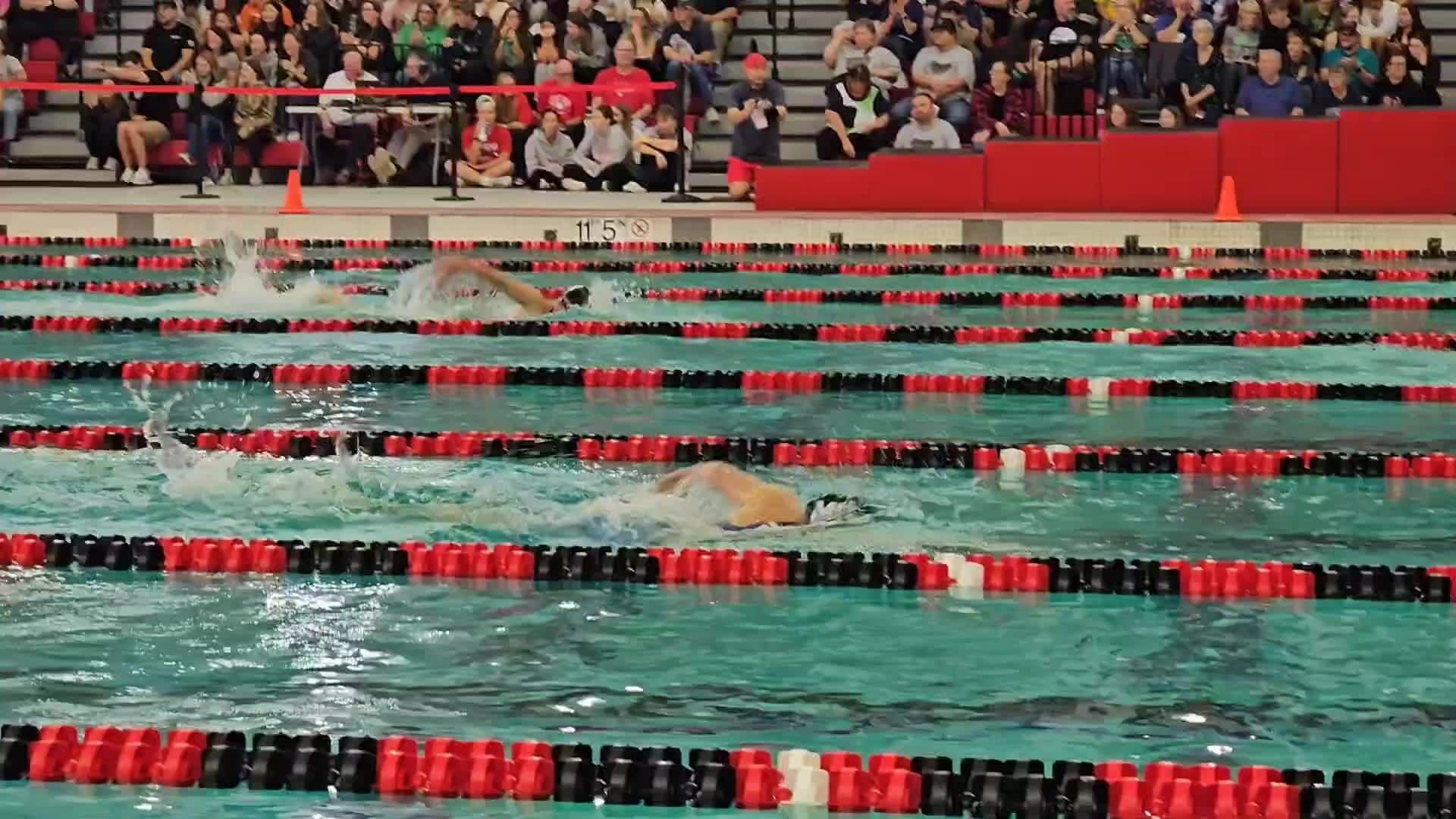 Mount Horeb pair medal in 500-yard freestyle