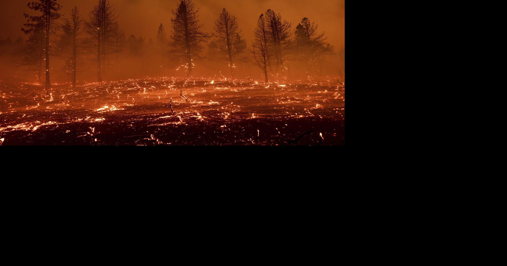 Heat wave rolls across US West; wildfires rage in several states