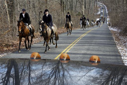 Photos: Fox hunting in the United States | Latest News | madison.com