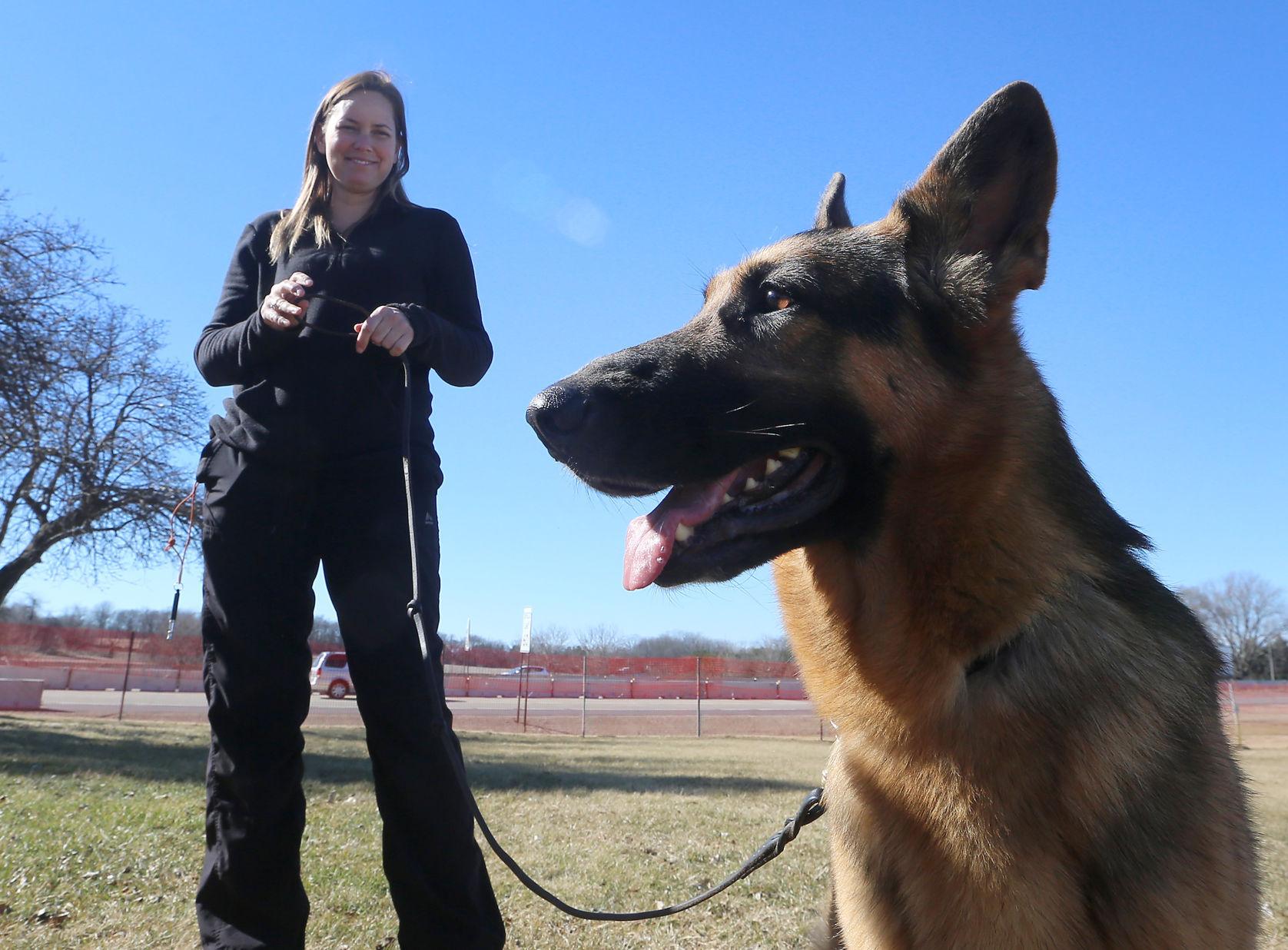 kennel goldberg german shepherd dogs