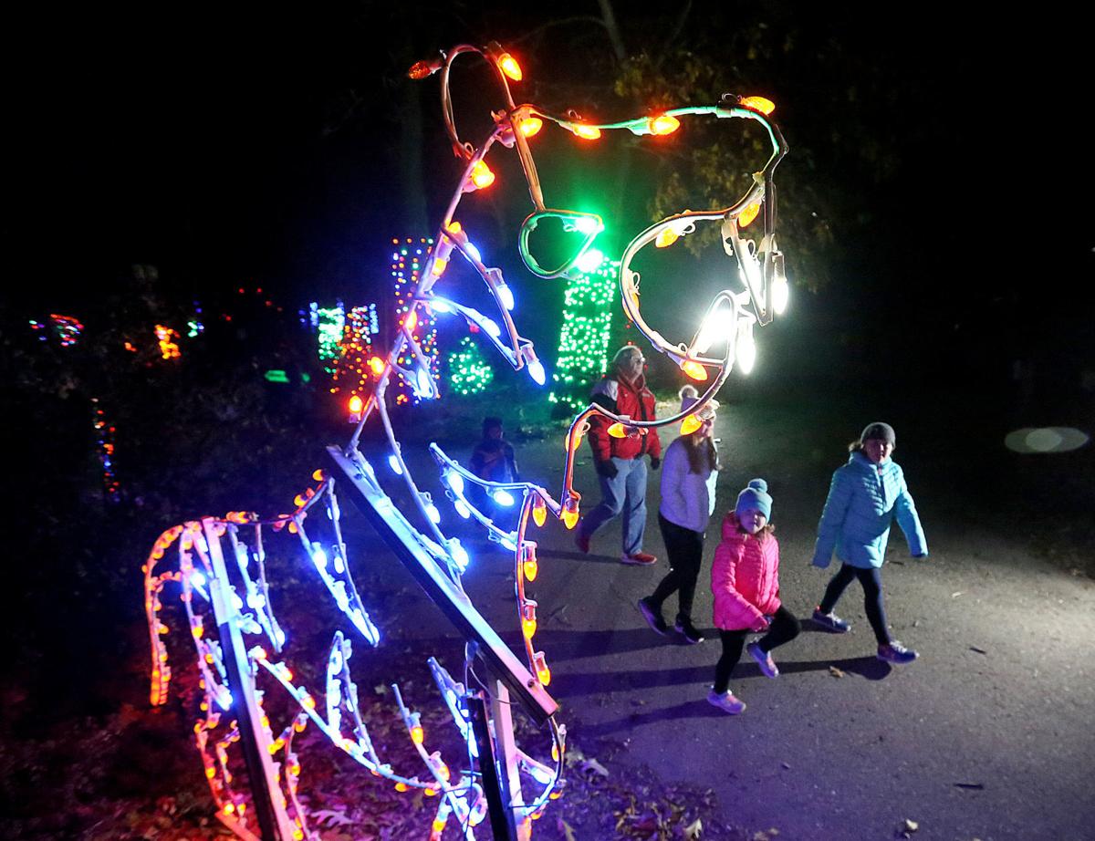 Zoo Lights