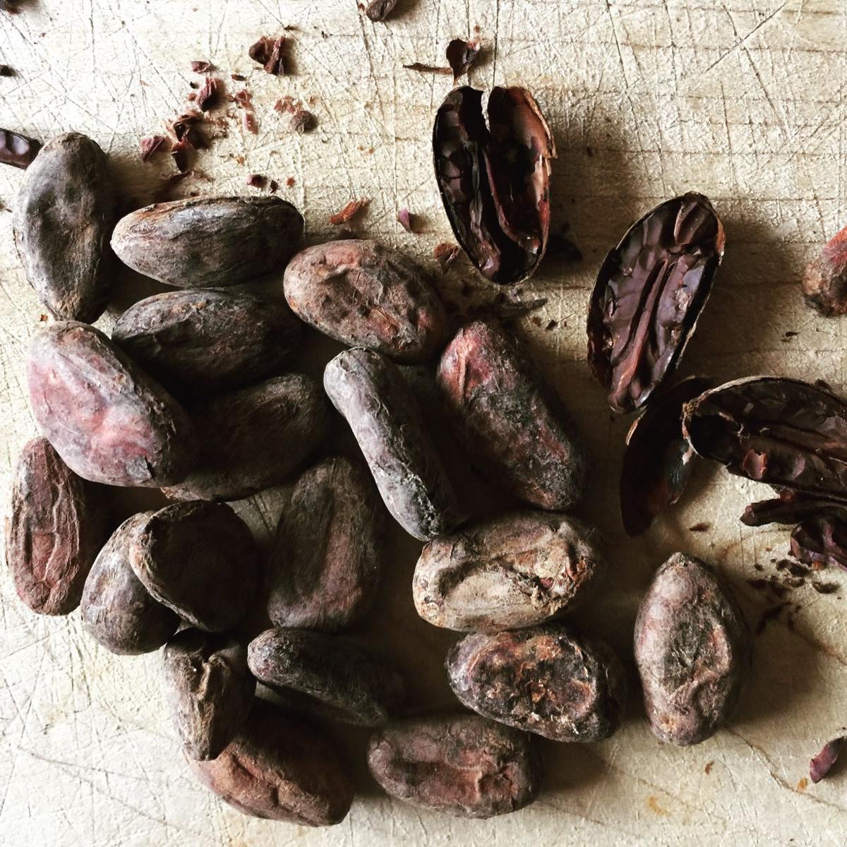 Singing Rooster cacao beans