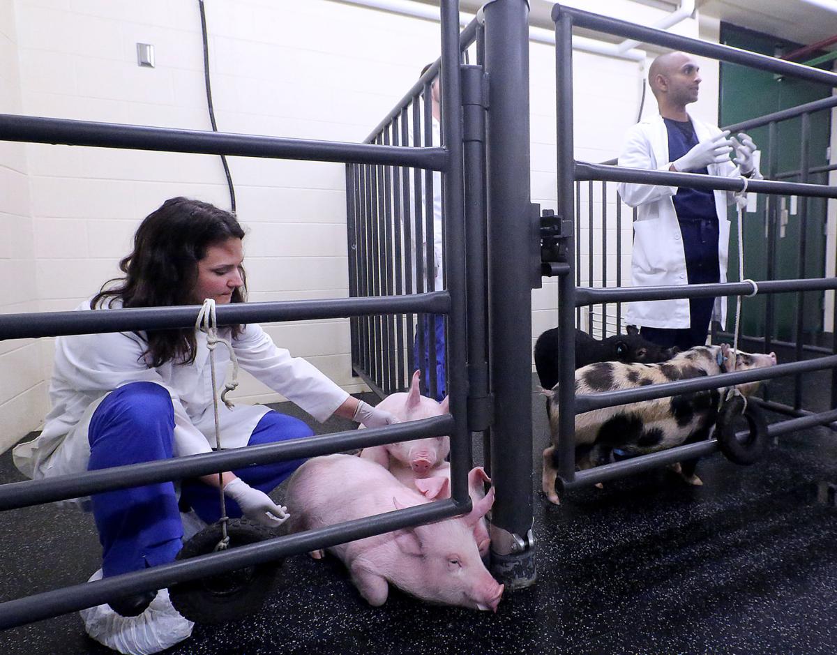 Jennifer and Dhanu with pigs