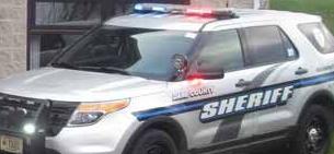 Teenager Flees After Crashing Stolen Car In Windsor Dane County Sheriff S Office Says Crime Madison Com