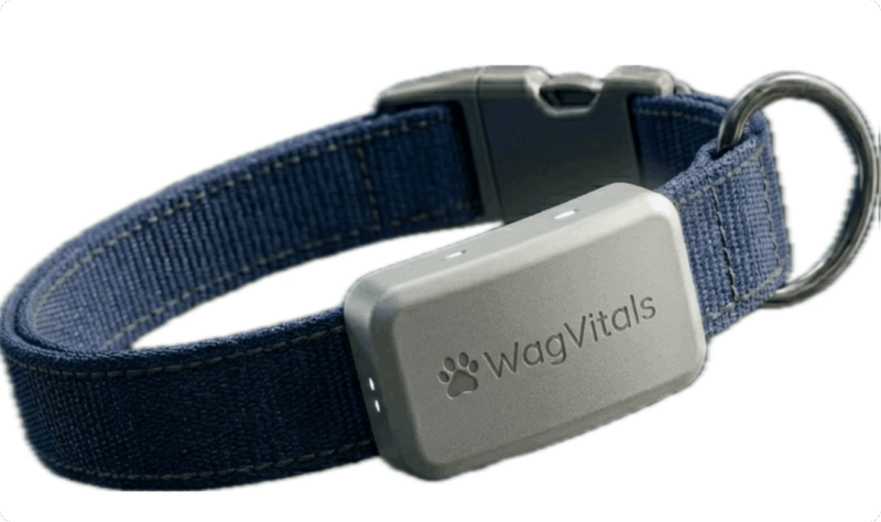 How WagVitals is Changing the Future of Pet Health