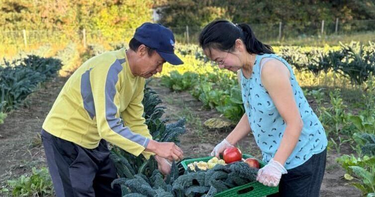 Wisconsin farms gain new markets while feeding families in need Joe Tarr Wisconsin Public Radio Aug 18, 2026 35 sec ago