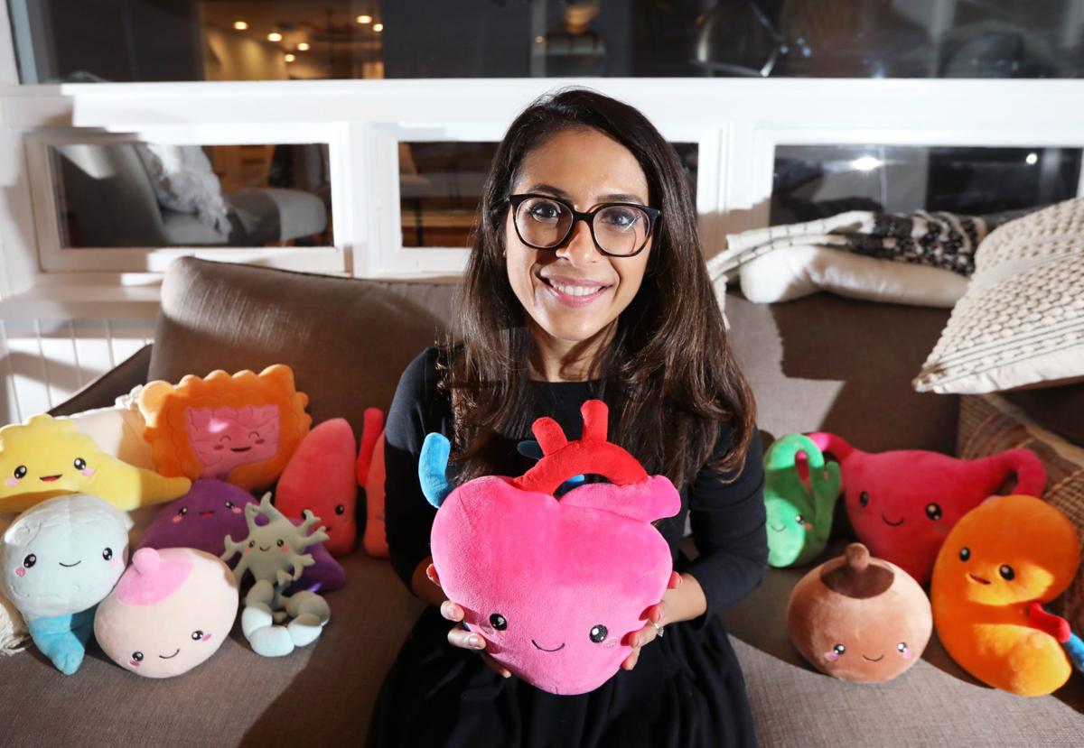 Plush Toys Designed After Organs Launch Madison Doctor S Small Business Business News Madison Com
