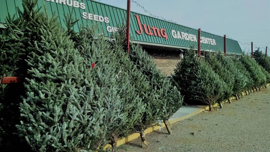 Jung Garden Center Christmas trees+Storefront.jpg