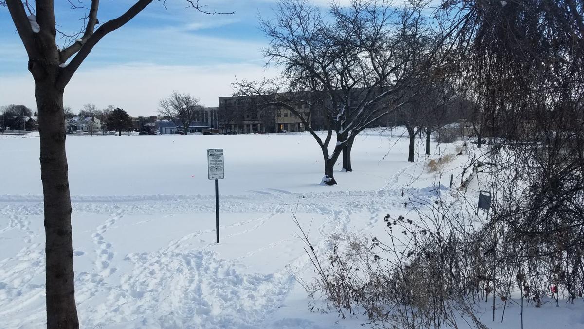 Madison Parks Proposes Lighting System For Burr Jones Park On