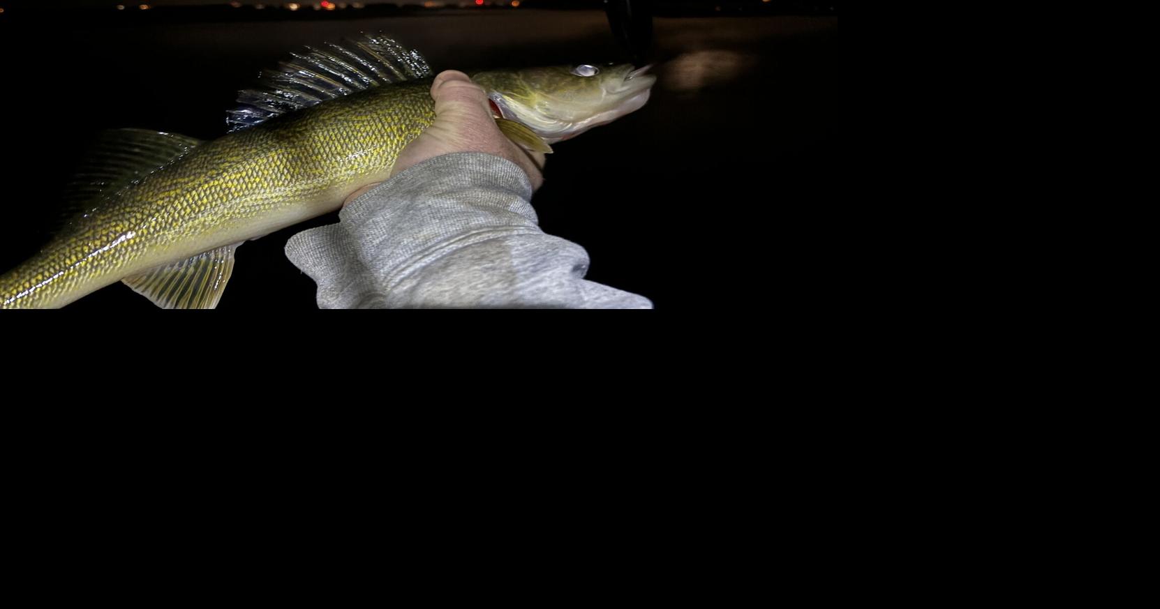 Climate change threatens walleye reproduction, study says