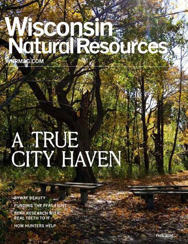 DNR Magazine Highlights Wisconsin’s Only Urban State Forest
