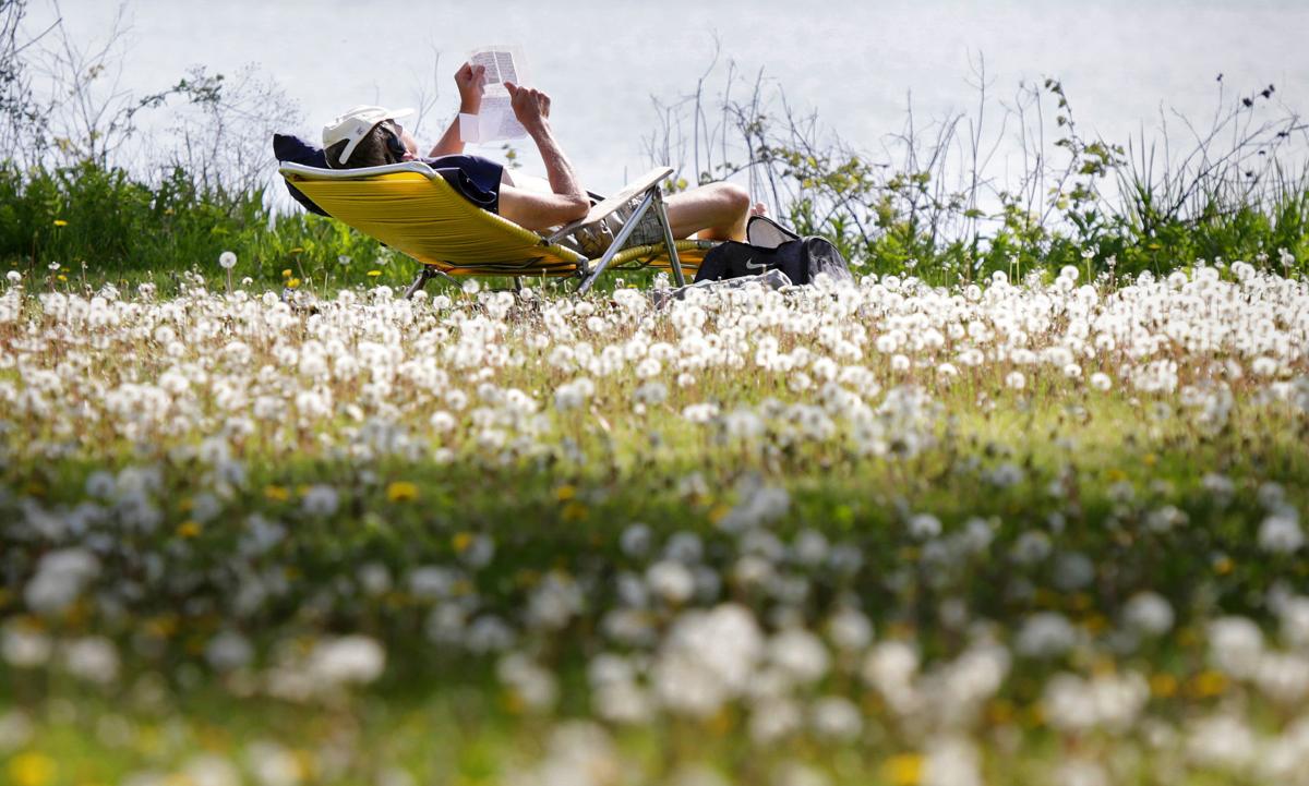 Just Ask Us What Are Madison S Lawn Care Regulations Just Ask Us Madison Com