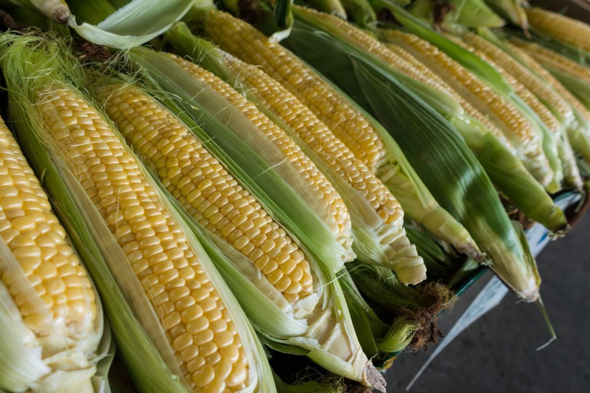Sun Prairie Sweet Corn Festival to be held in a drivethru format