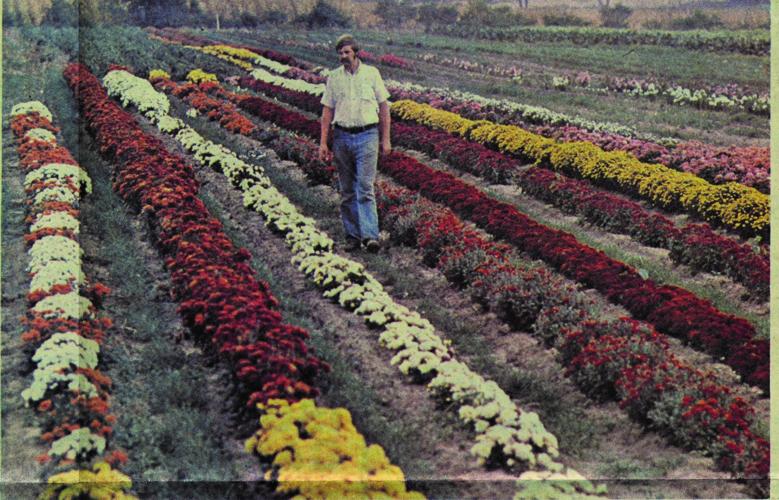 Jung seed  president vintage.jpg
