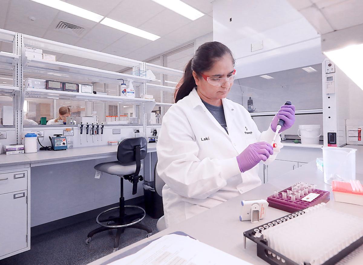Promega Developing Antibody Test For Covid 19 Local News