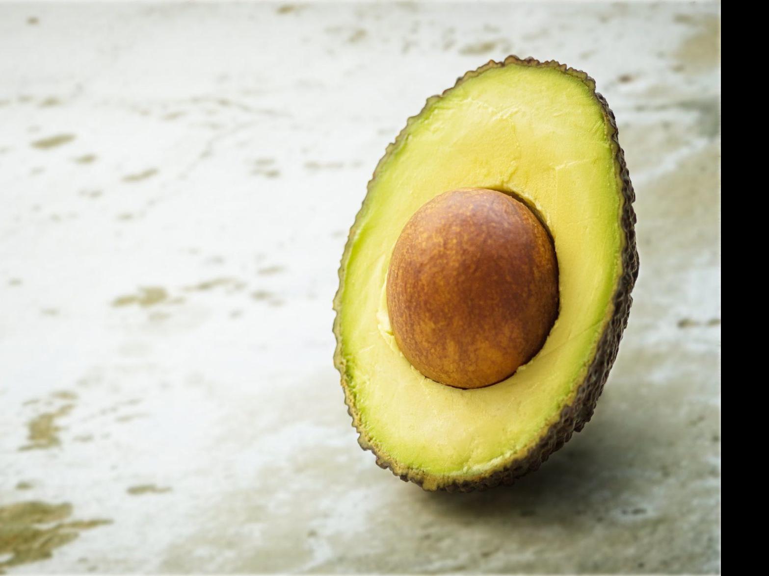 How To Grow An Avocado Plant Home Garden Madison Com