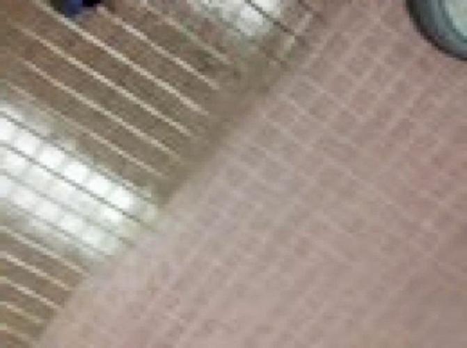 Carpet
