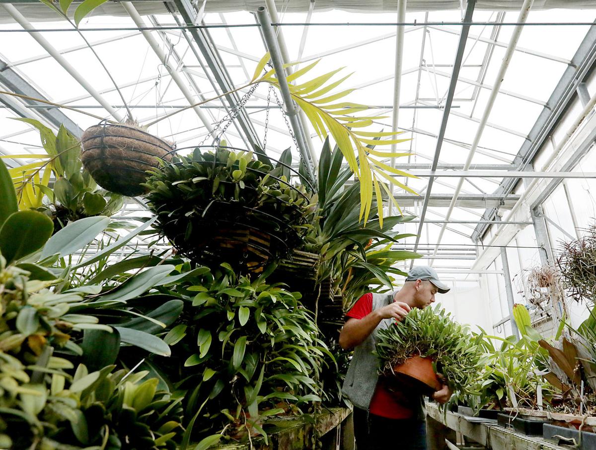 Olbrich Botanical Gardens Preparing For 10 Million Expansion