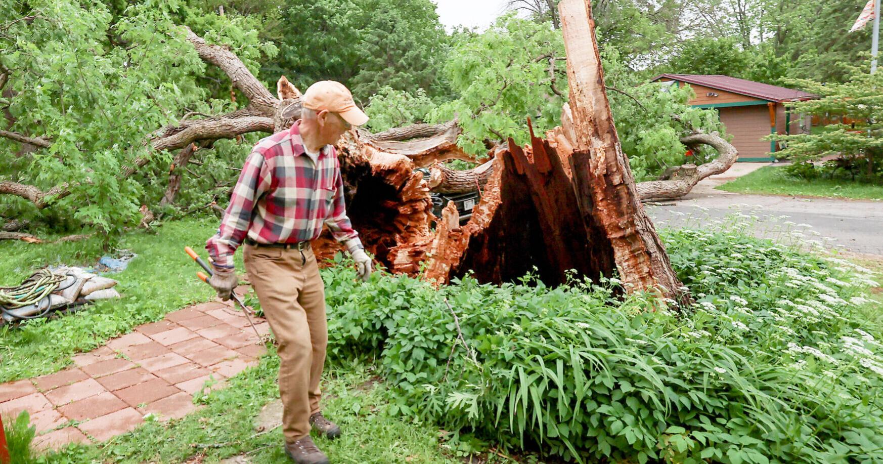 Madison storm blocks roads, knocks out power, closes schools - Vimarsana News