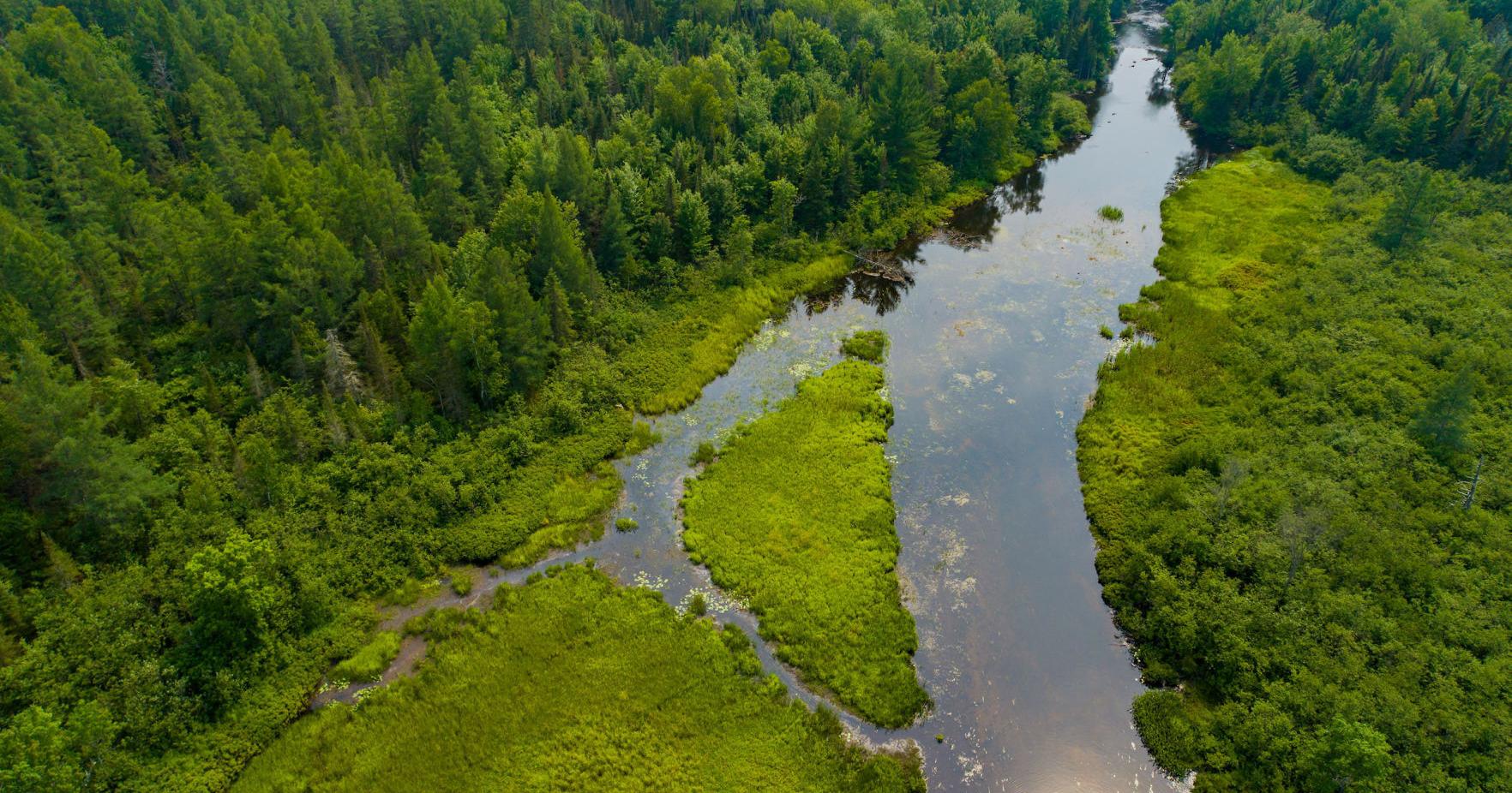 Evers lands federal grant for big land conservation purchase - Vimarsana News