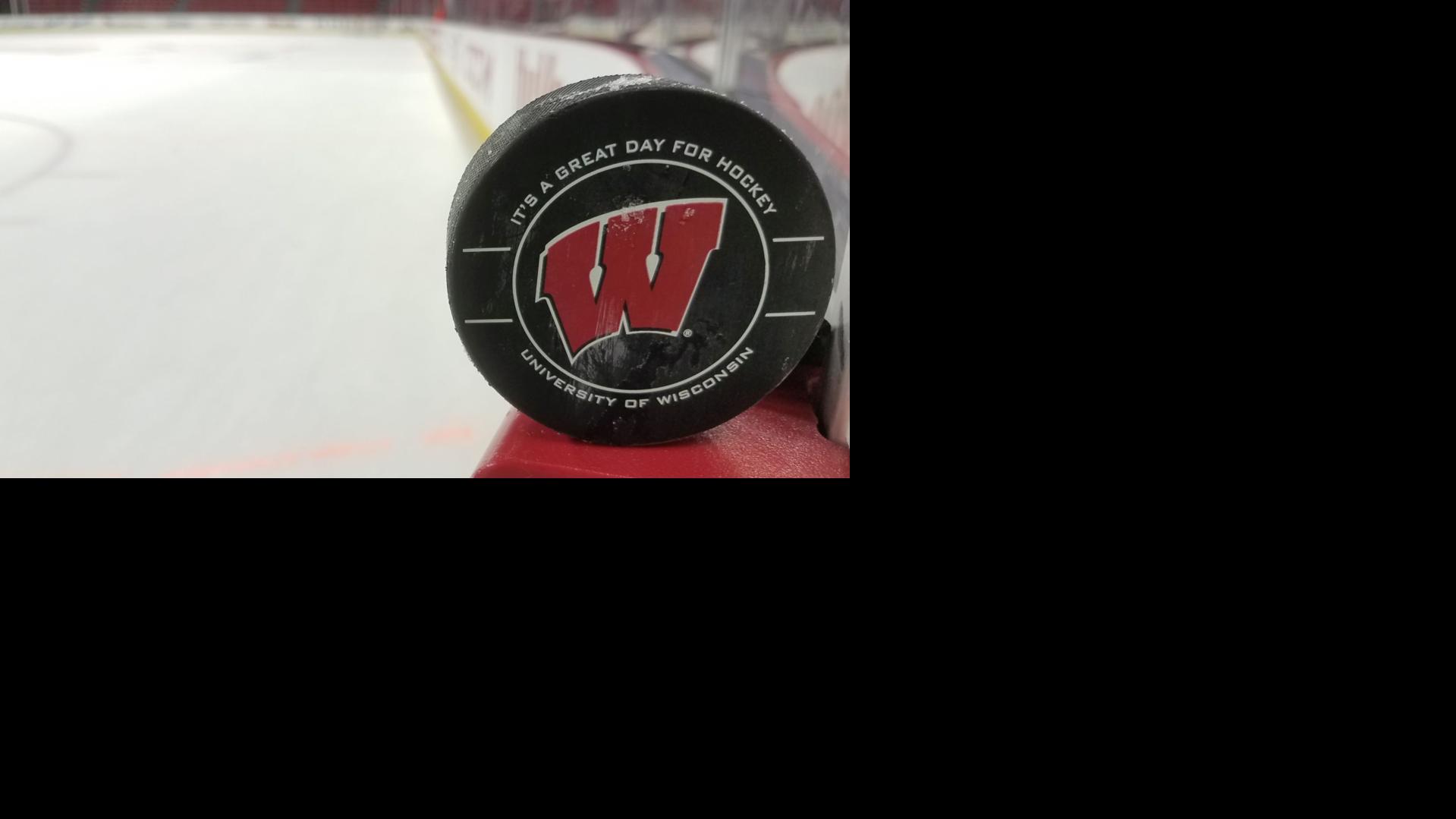 Badgers 3, Bulldogs 1: Quick wrapup and three stars from the Wisconsin men's hockey victory against Minnesota Duluth