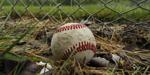 5 Wisconsin teams set start for regional Northwoods League pod, but Madison Mallards aren't included