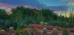 Desert Botanical Garden, Phoenix