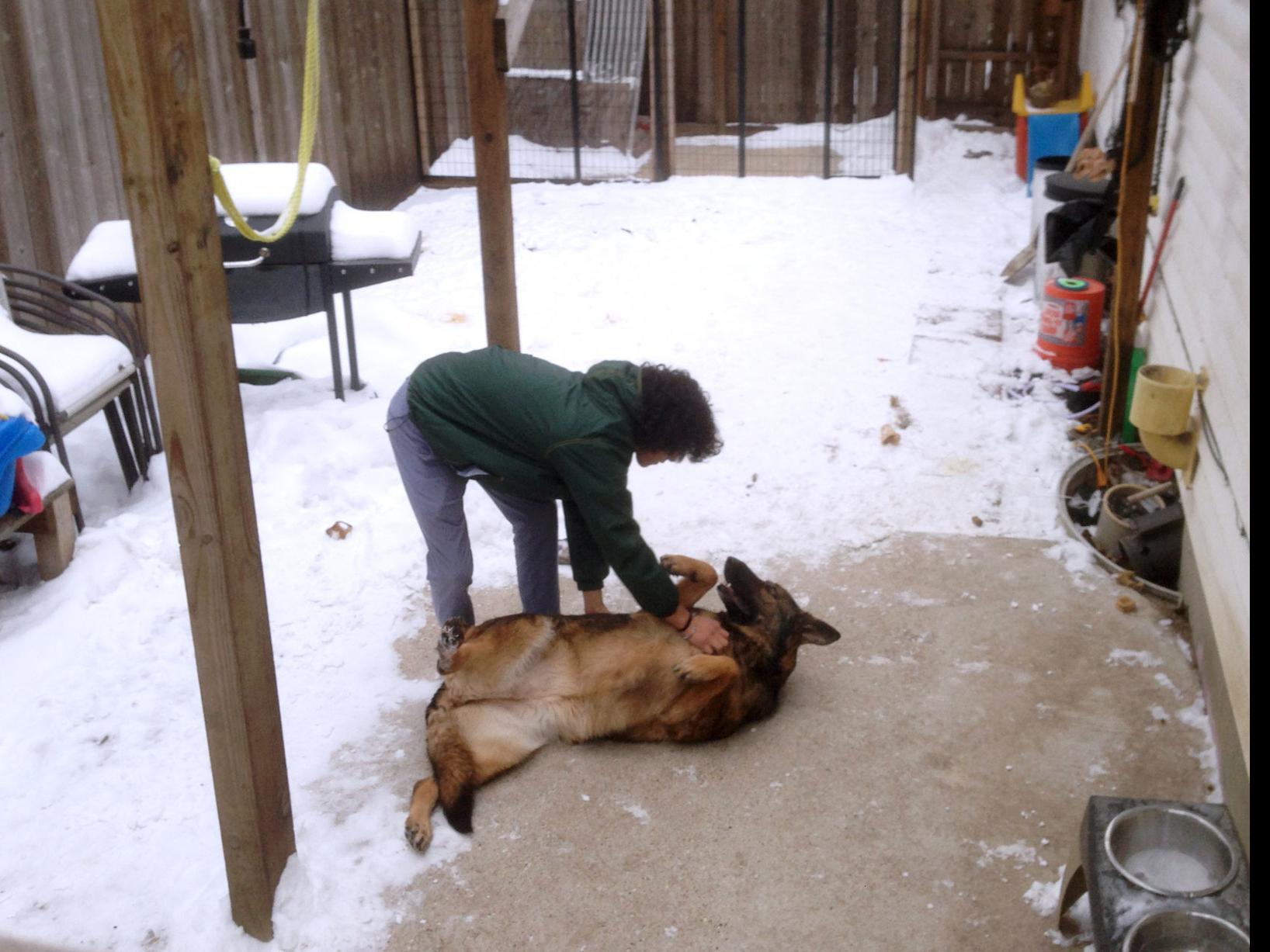 Despite Hundreds Of Complaints Owners Of Loud Dogs Hardly Ever Ticketed By Madison Police Crime News Madison Com