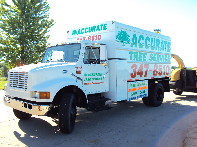 accurate tree service madison