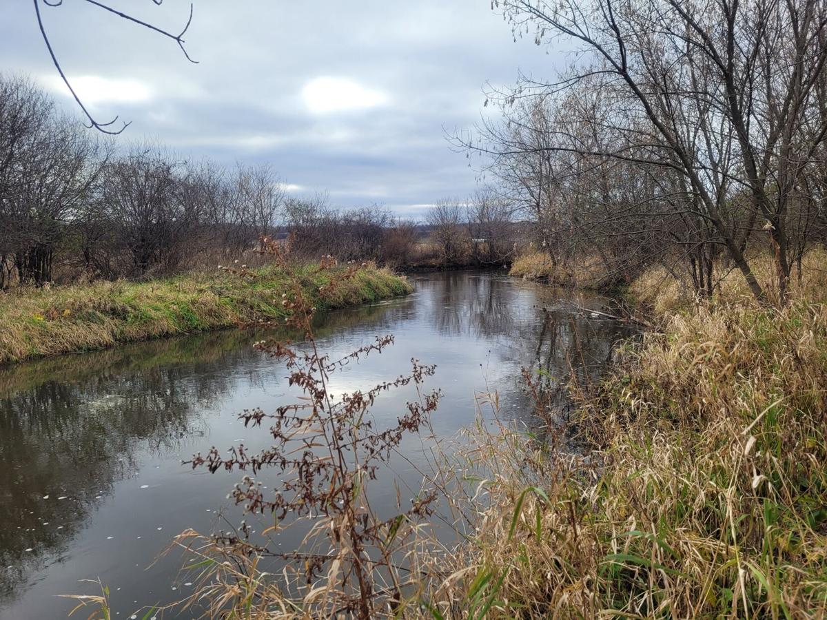 Dane County buying 14.6acre property along Black Earth Creek