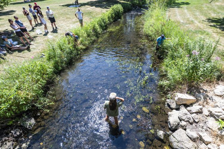 Testing the waters: Conservation students learn by doing