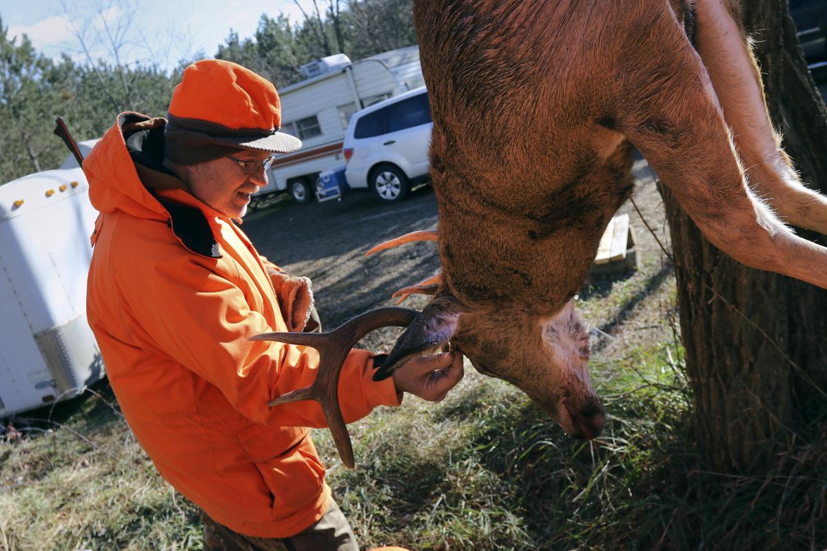 Deer Hunt