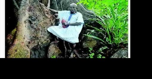 Disciples bemoan loss of forests - Vimarsana News