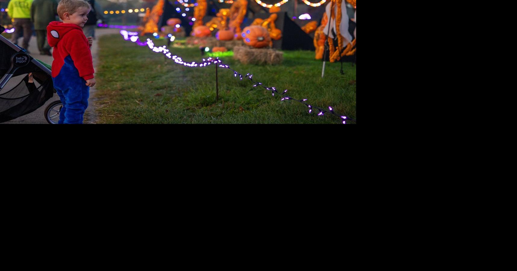 Still time to enjoy Jack-O-Lantern Nights at the Racine Zoo