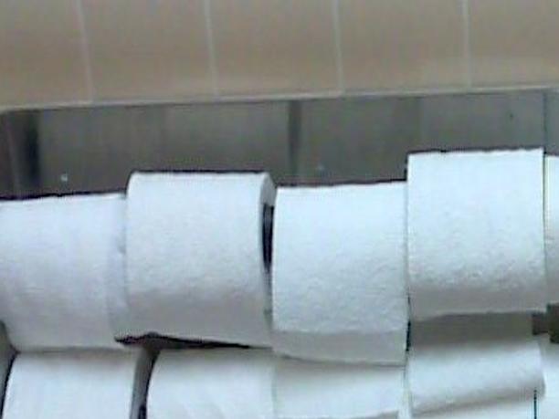 As Hemorrhoids Awareness Month Begins Badgers Protest Thin Campus Toilet Paper Daily Cardinal Madison Com