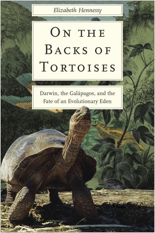 More Than Tortoises Uw Madison Professor Writes About The Real