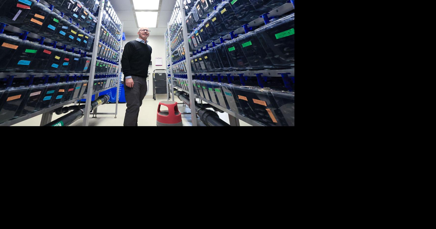 10 Universities of Wisconsin research projects notable in 2025, from AI to zebrafish