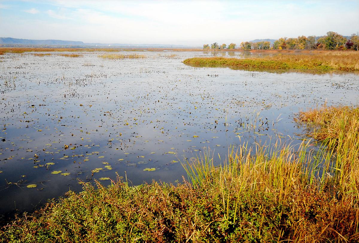 Trempealeau Wetlands (copy) (copy)