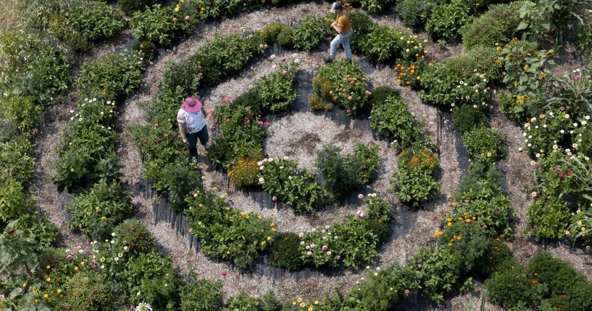 Chicago Labyrinth Wisconsin labyrinth a meditation among the flowers
