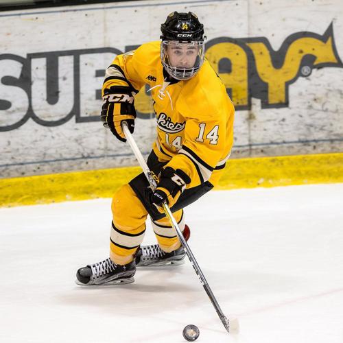 MICHIGAN TECH