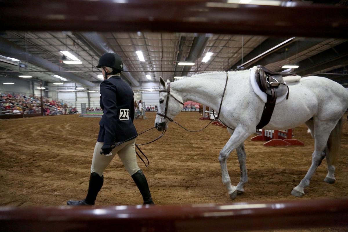 Photos Midwest Horse Fair draws equine enthusiasts to Madison's